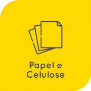 05-papel-celulose